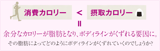 消費カロリー<摂取カロリー 余分なカロリーが脂肪となり、ボディラインがくずれる要因に。 その脂肪によってどのようにボディラインがくずれていくのでしょうか?