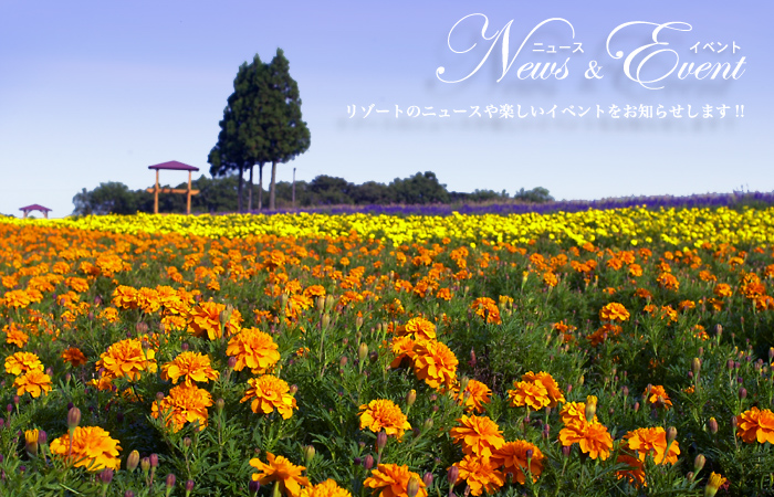 News&Event メナード青山リゾートのニュースや楽しいイベントをお知らせします!