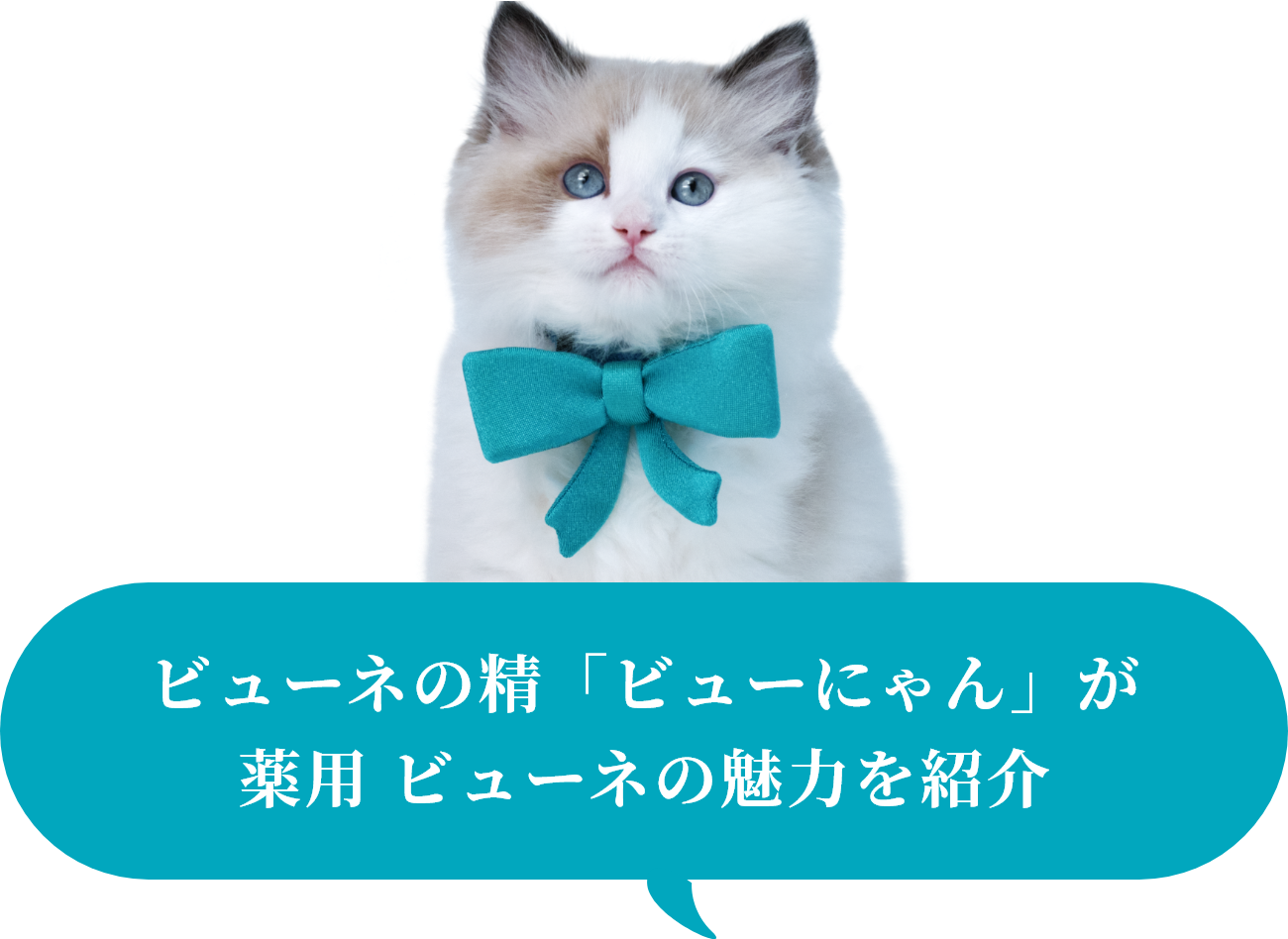 ビューネの精「ビューにゃん」が薬用 ビューネの魅力を紹介