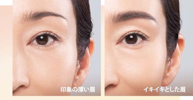 参考イメージ 印象の薄い眉 イキイキとした眉G