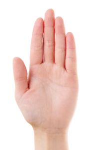 ブルーベースの肌