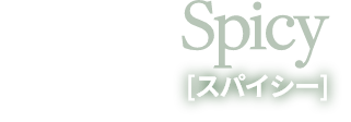 ブルべ冬 Spicy [スパイシー]