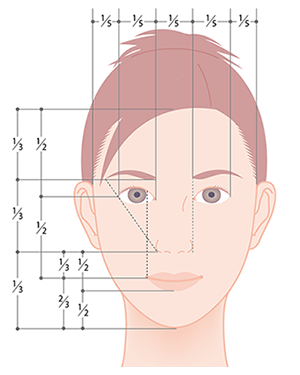 顔のプロポーション