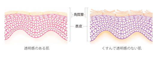 透明感のある肌 くすんだ肌
