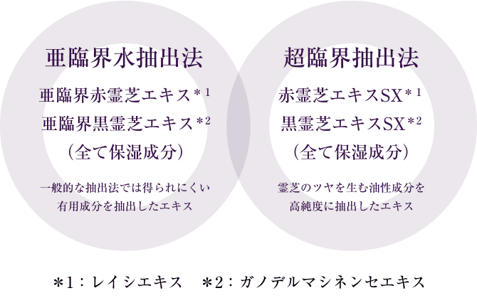 エンベリエ | 日本メナード化粧品株式会社