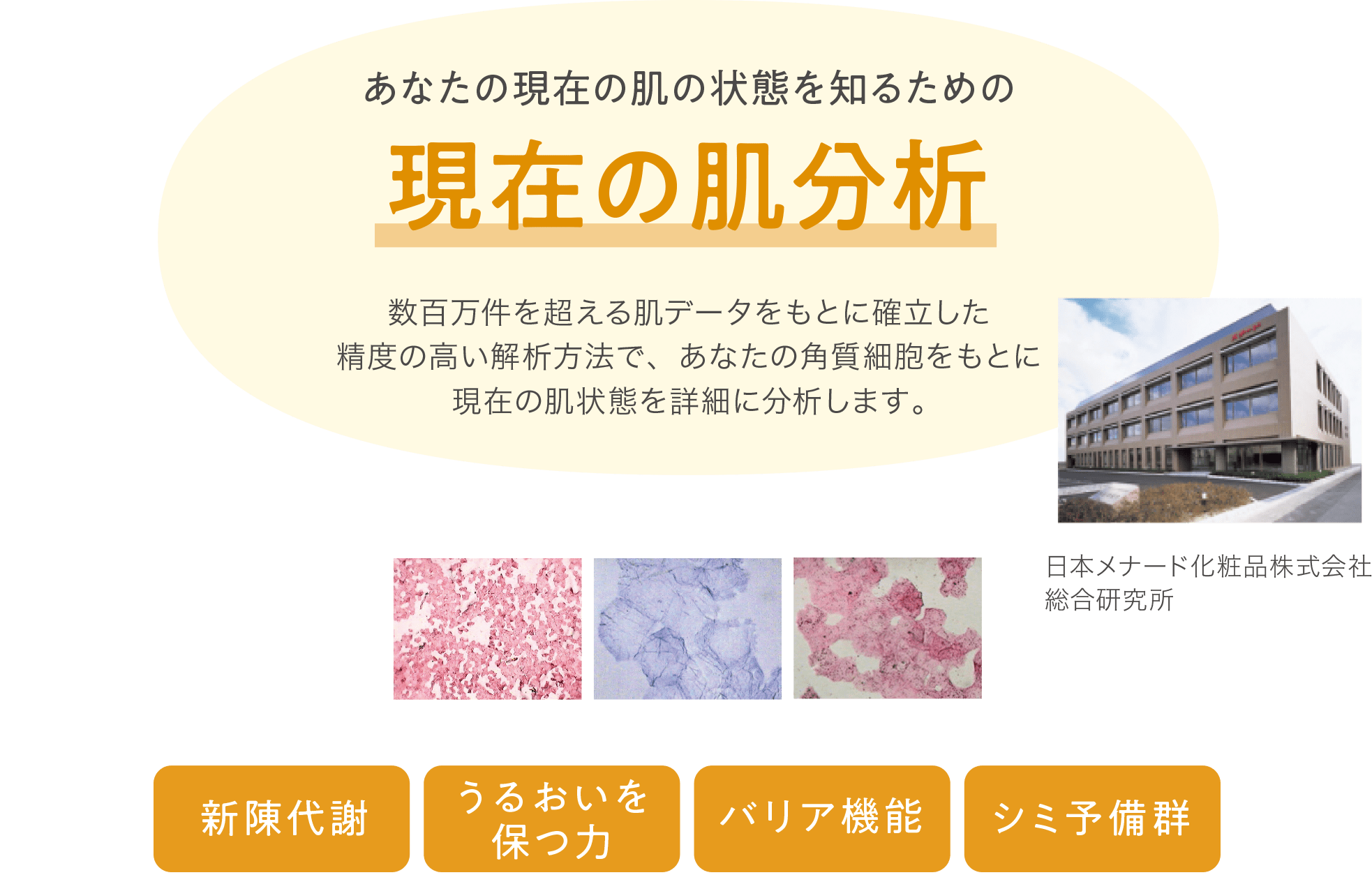 あなたの現在の肌の状態を知るための現在の肌分析