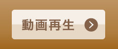 動画再生