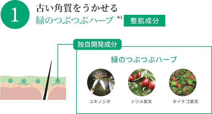 古い角質をうかせる緑のつぶつぶハーブ *1整肌成分