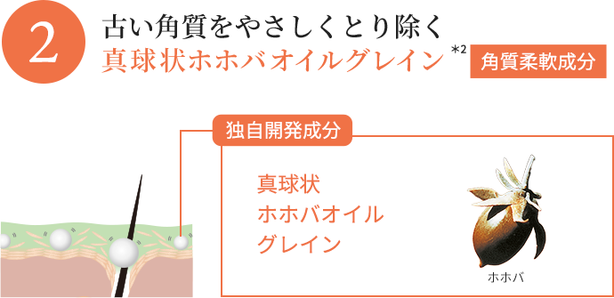 古い角質をやさしくとり除く真球状ホホバオイルグレイン *2角質柔軟成分