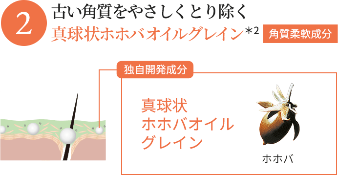 古い角質をやさしくとり除く真球状ホホバオイルグレイン *2角質柔軟成分