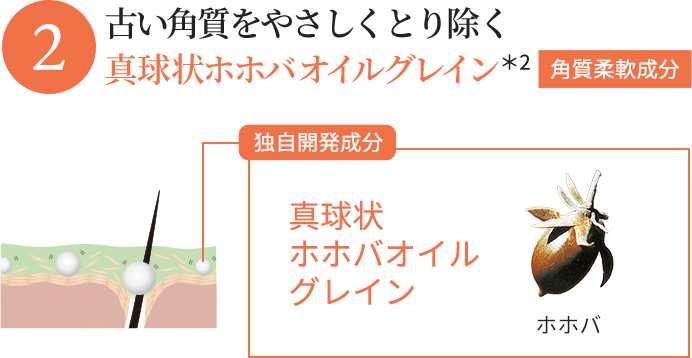 古い角質をやさしくとり除く真球状ホホバオイルグレイン ＊2角質柔軟成分