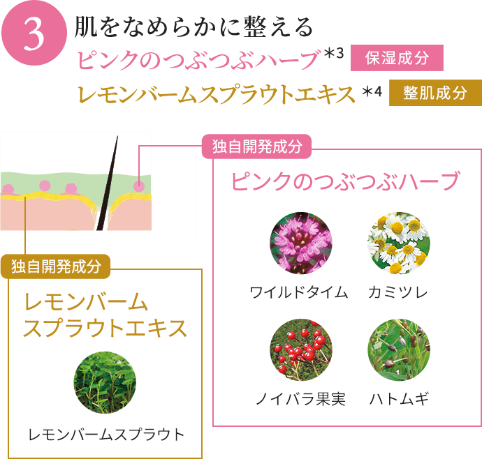 肌をなめらかに整えるピンクのつぶつぶハーブ *3保湿成分 レモンバームスプラウトエキス *4整肌成分