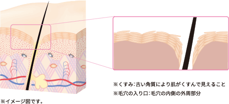 ※イメージ図です。※くすみ：古い角質により肌がくすんで見えること　※毛穴の入り口：毛穴の内側の外周部分