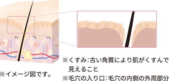 ※イメージ図です。※くすみ：古い角質により肌がくすんで見えること　※毛穴の入り口：毛穴の内側の外周部分