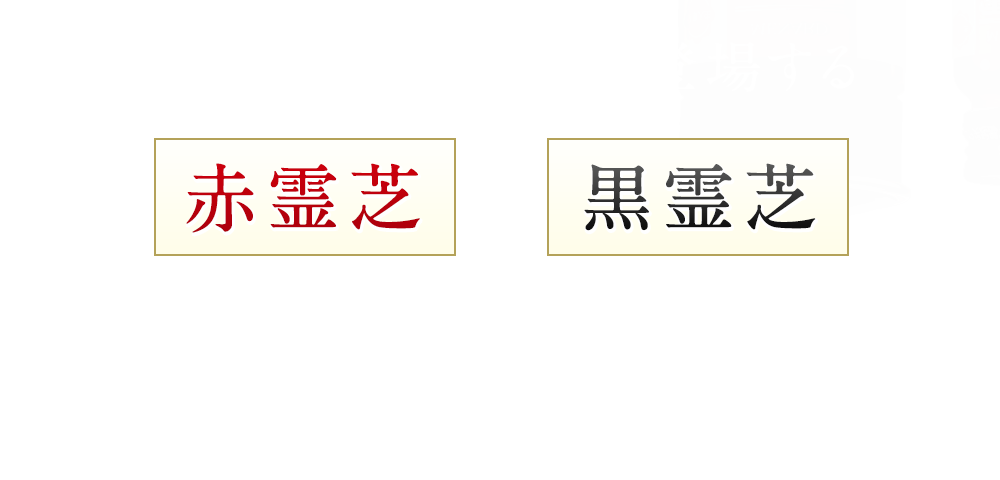 中国古来の書物にも登場する赤霊芝と黒霊芝、2種類の霊芝がいきいきと生きる毎日をサポートします。