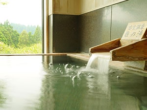 おすすめプラン