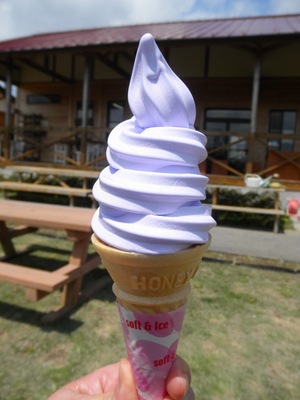ラベンダーソフト.JPG