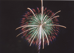 花火(ヤシ入牡丹)_edited-1.jpg