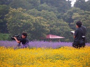 東海テレビ.JPG