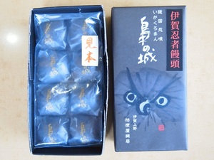 梟の城.JPG