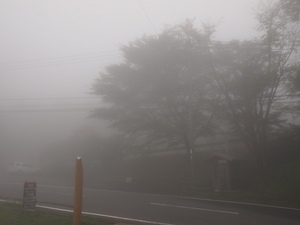 P9093055.JPG