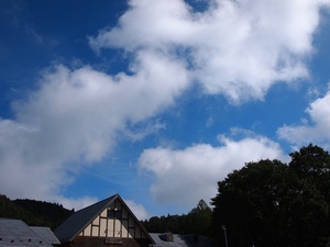 P9103057.JPG