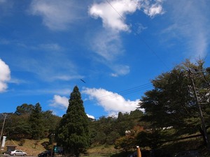 P9183188.JPG