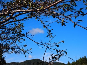 P9243221.JPG