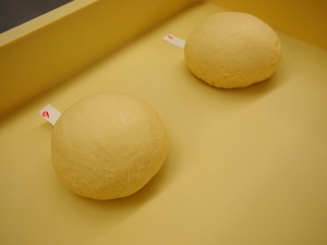 PA110103.JPG