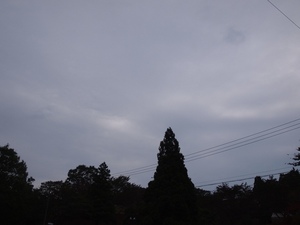 PA130351.JPG