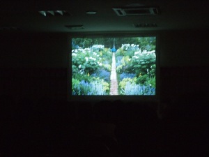 PA150439.JPG