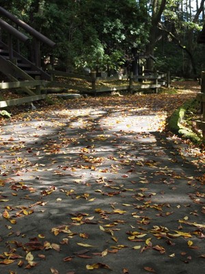 PA230724.JPG
