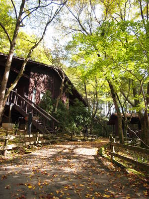 PA230725.JPG