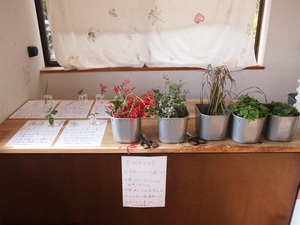 足湯2.JPG