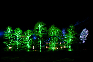 10lightup_18[1].jpg