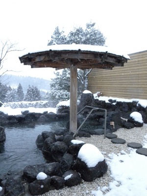 2011.2.11雪 062.jpg