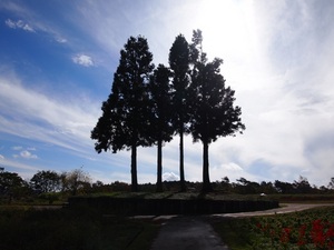 PB121320b.JPG
