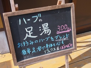 PB201456.JPG
