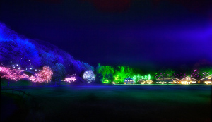 lightup3[1].jpg