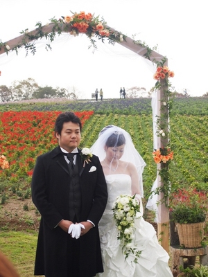 PB201529a.jpg