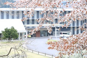 IMG_3883.JPG