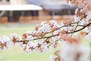 IMG_3890.JPG