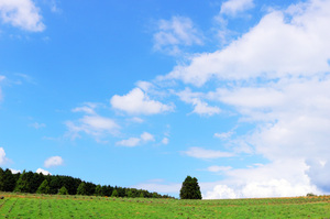 IMG_8750_s.jpg