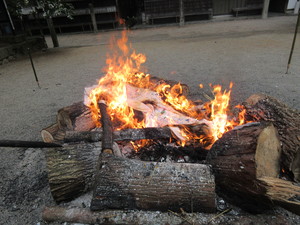 IMG_1520.JPG