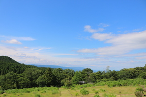 IMG_1751.JPG
