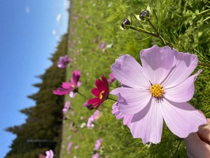 IMG_3280.JPG