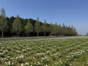 IMG_1754.jpg