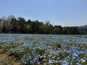 IMG_1749.jpg