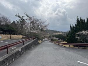 IMG_1691.jpg