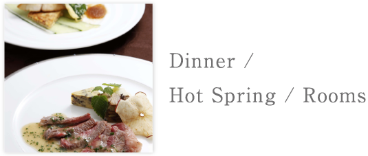 Dinner/Hot Spring/Rooms